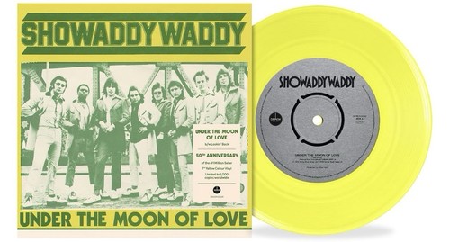 Showaddywaddy under the moon - -,